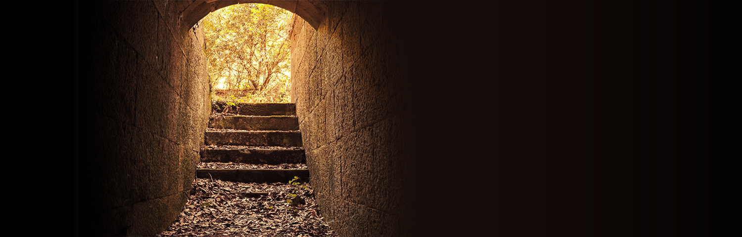 Visit our NEW store for an exclusive 10% discount