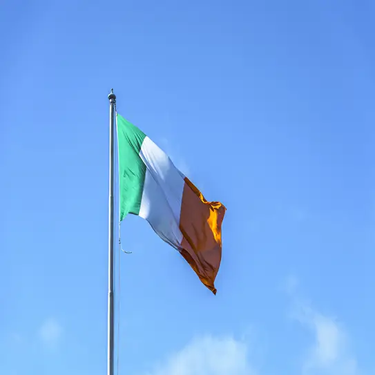 Ireland flag symbolize Ireland modules