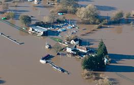 Environment weekly highlights—2 April 2026