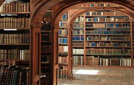 Abuse of the right of access and causality (Brillen Rottler)