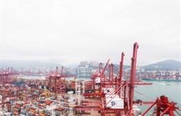 International Trade weekly highlights—25 June 2026