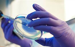 Life Sciences weekly highlights—16 April 2026