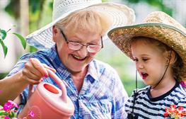 House of Lords votes to remove investment mandate from Pension Schemes Bill