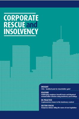 Company Secretary's Review