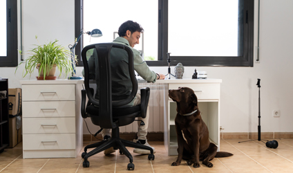 Working From Where?